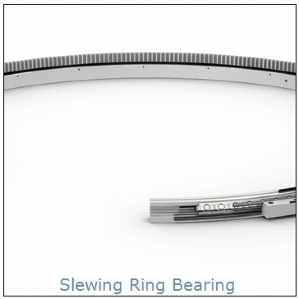 precision nachi  lazy susan miniature turntable slewing ring bearing #1 image